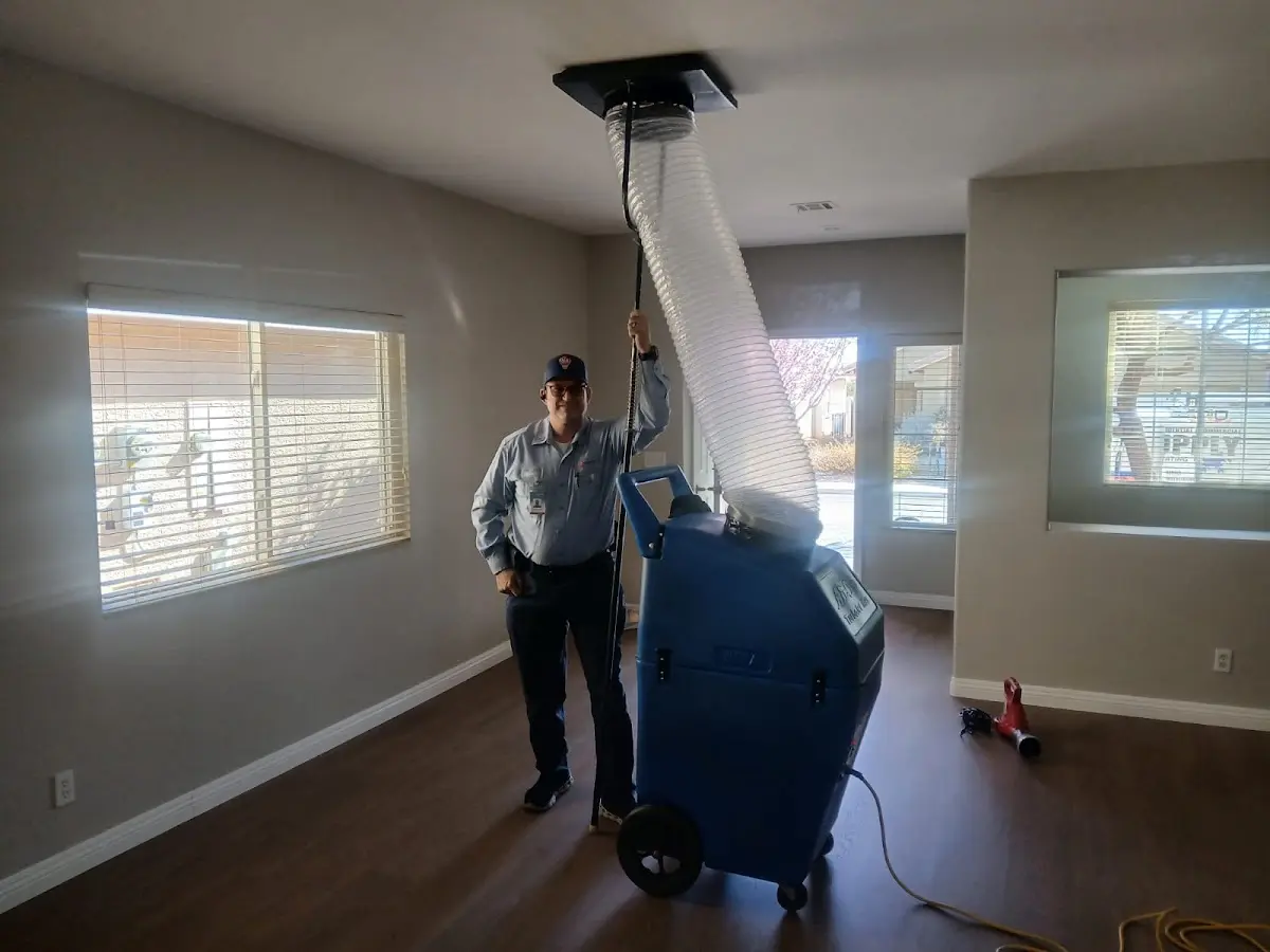 Professional Dryer Vent Cleaning work inside a Antioch home